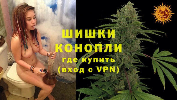 мет Арсеньев